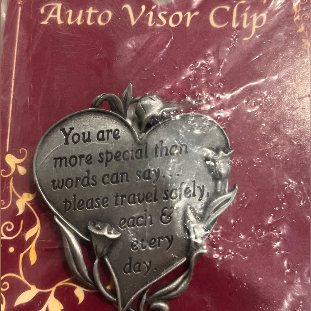 You are special, drive safely Visor Clip